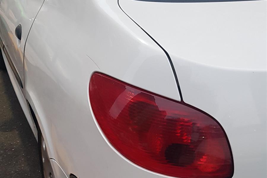 پژو  206 SD V9 1391